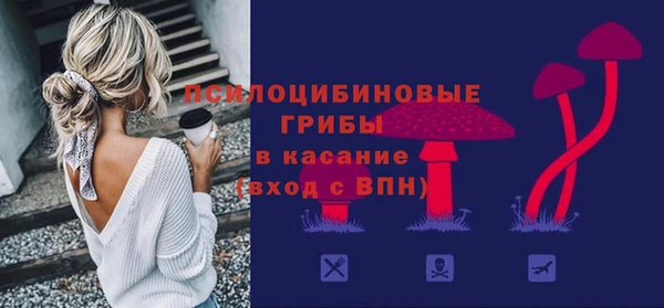 амф Каменка