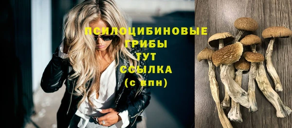 мефедрон мука Каменногорск