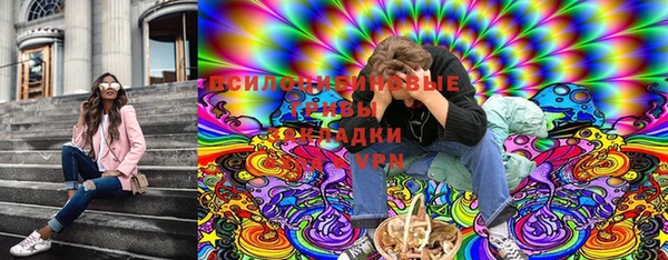 амф Каменка
